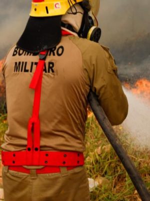 Devido ao aumento de incêndios e queimadas na região nos últimos anos, o Ministério Público do Estado do Amazonas (MPAM), por meio da Promotoria de Justiça de Careiro da Várzea, instaurou um procedimento administrativo para acompanhar e monitorar as ações preventivas e repressivas contra queimadas ilegais no município, além de fiscalizar a qualidade do ar ao longo de 2025.